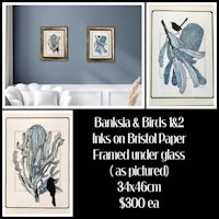 banksia birds r2 on bisso paper framed